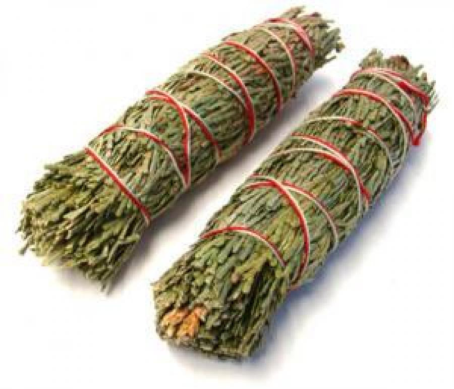 Cedar sage